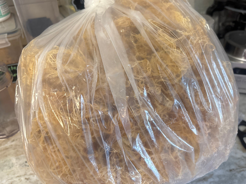Irie Luxe Pure St. Lucia Gold Sea Moss - Raw, Wildcrafted, Natural