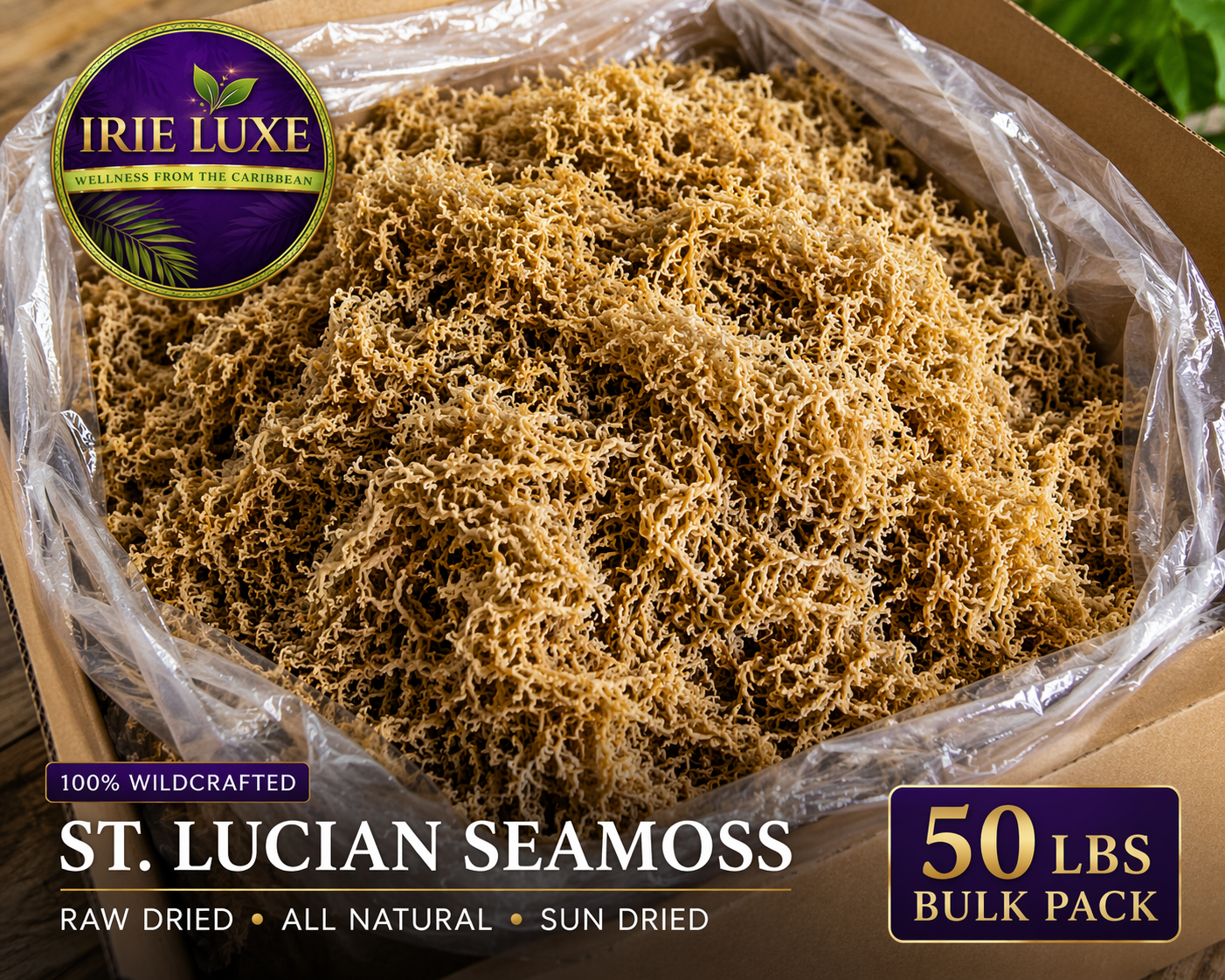 Irie Luxe Pure St. Lucia Gold Sea Moss - Raw, Wildcrafted, Natural