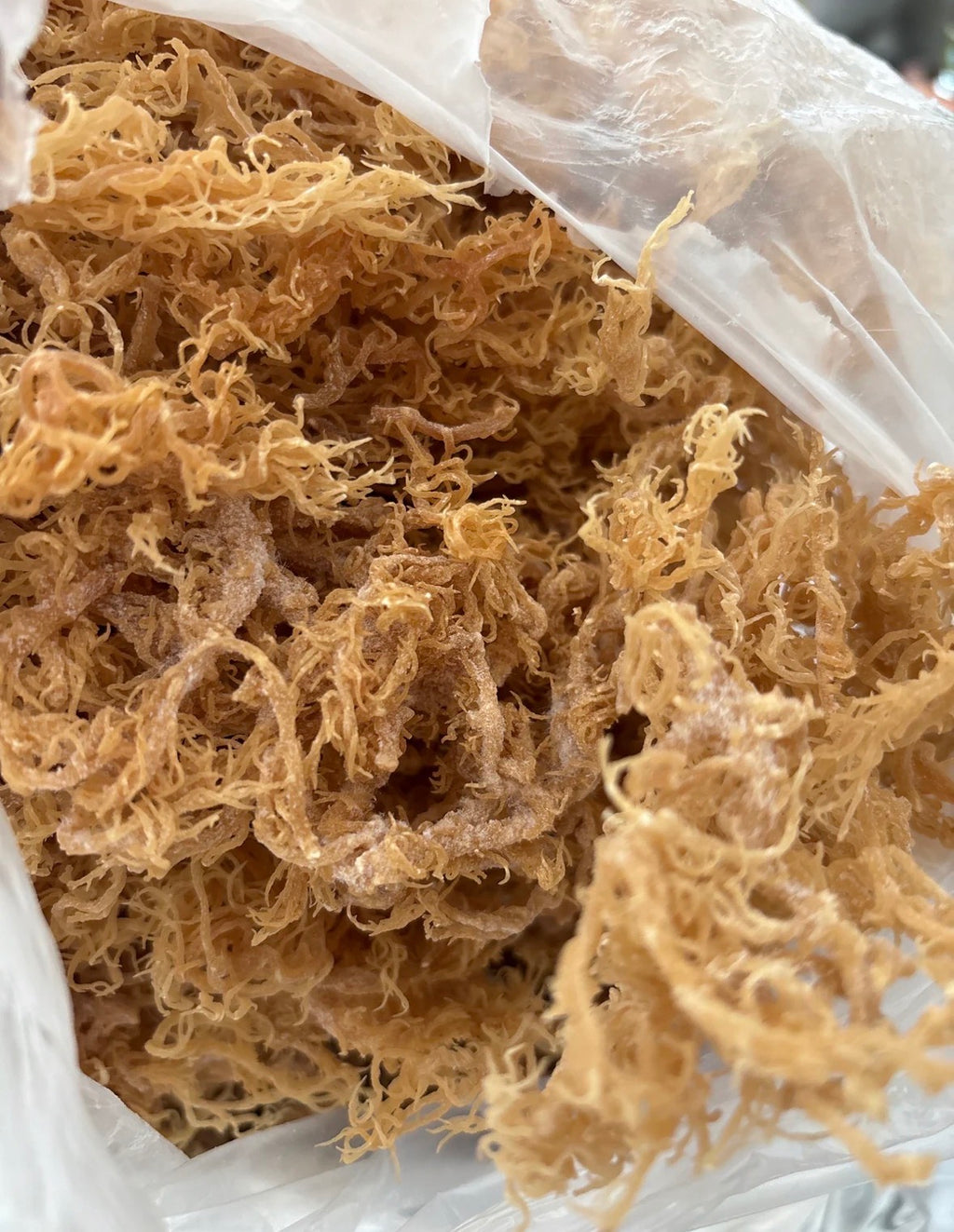 Irie Luxe Pure St. Lucia Gold Sea Moss - Raw, Wildcrafted, Natural