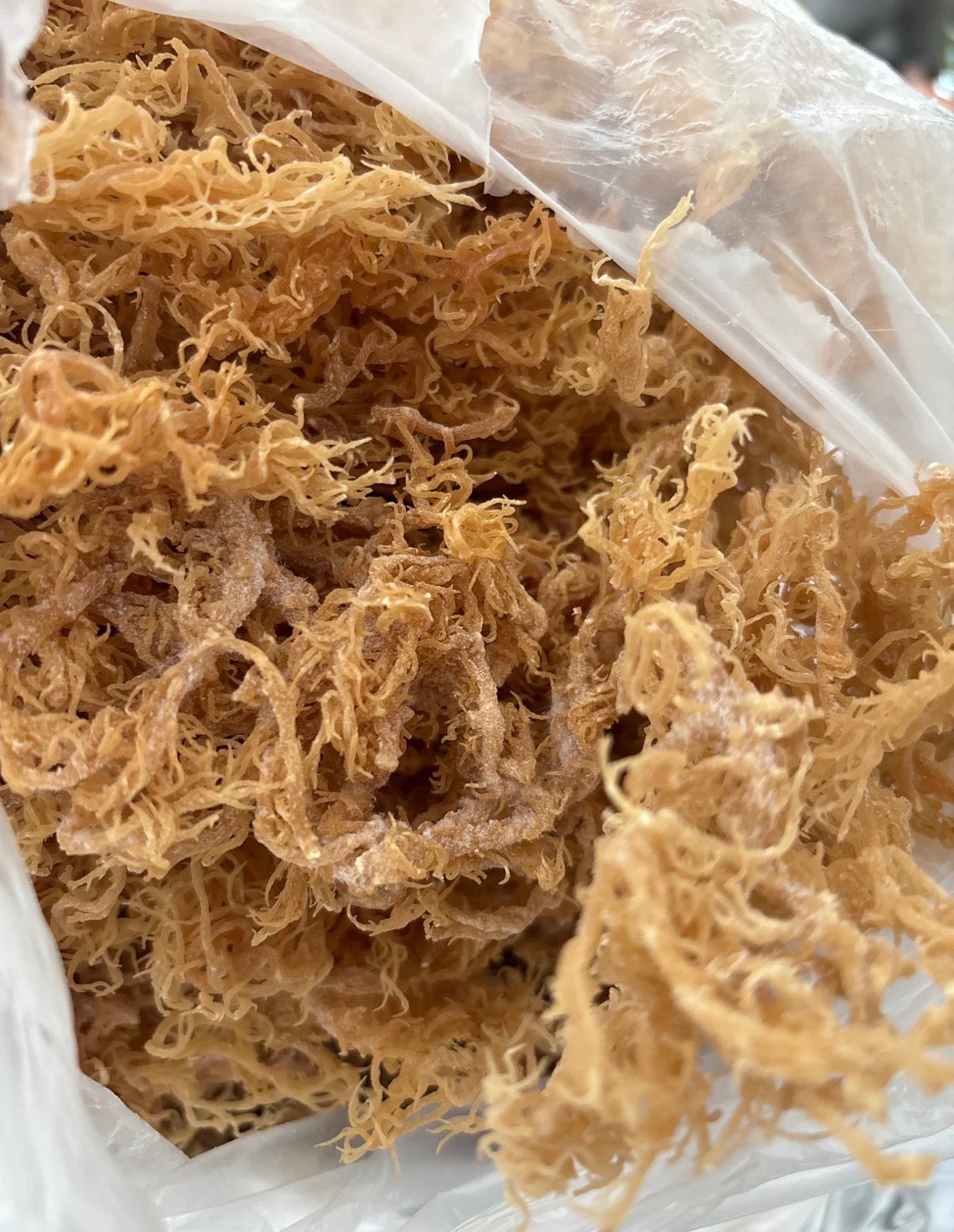 Irie Luxe Pure St. Lucia Gold Sea Moss - Raw, Wildcrafted, Natural