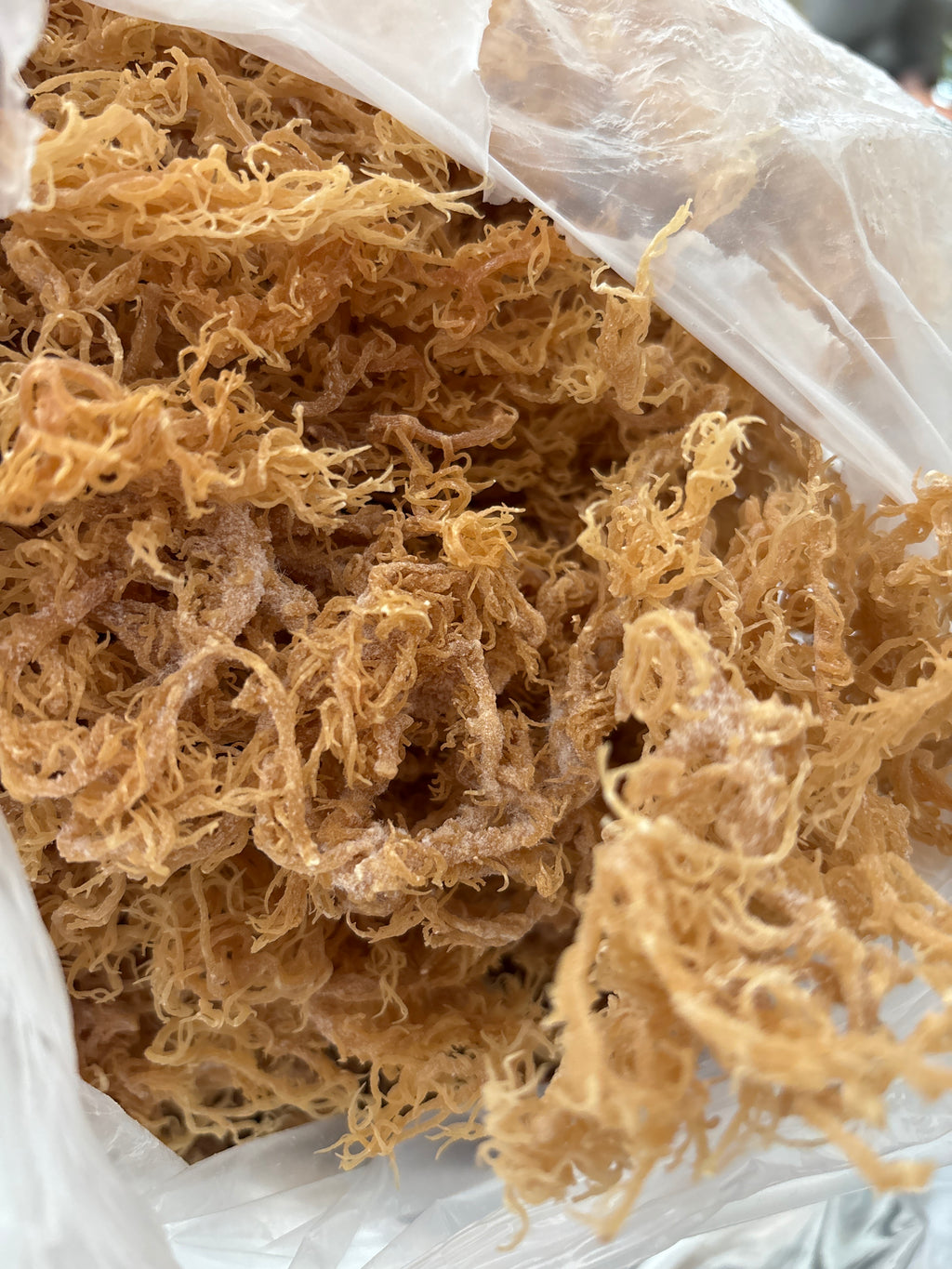 Irie Luxe Pure St. Lucia Gold Sea Moss - Raw, Wildcrafted, Natural